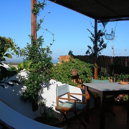 Piazza San Pantaleo Bed and Breakfast Sorso Exteriör bild